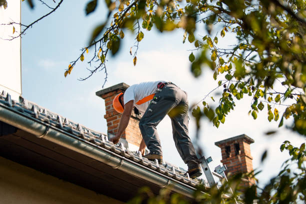Best Roof Replacement Cost  in Mount Gay Shamrock, WV