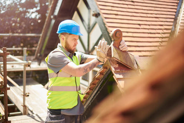 Best Gutter Installation and Roofing  in Mount Gay Shamrock, WV